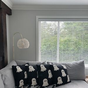 Rachel Zoe Viral Ghost Pillows - BNWT